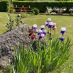 Шале Avec Bain Nordique Et Piscine 11 Pers Hautes Vosges Пленфэн