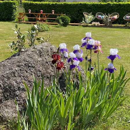 Chalé Avec Bain Nordique Et Piscine 11 Pers Hautes Vosges Plainfaing