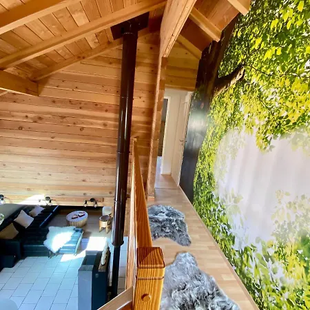 Chalet Avec Bain Nordique Et Piscine 11 Pers Hautes Vosges Plainfaing