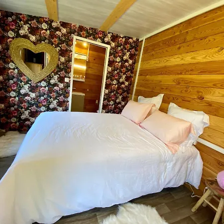 Avec Bain Nordique Et Piscine 11 Pers Hautes Vosges * Plainfaing