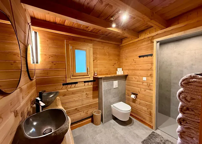 Avec Bain Nordique Et Piscine 11 Pers Hautes Vosges Plainfaing